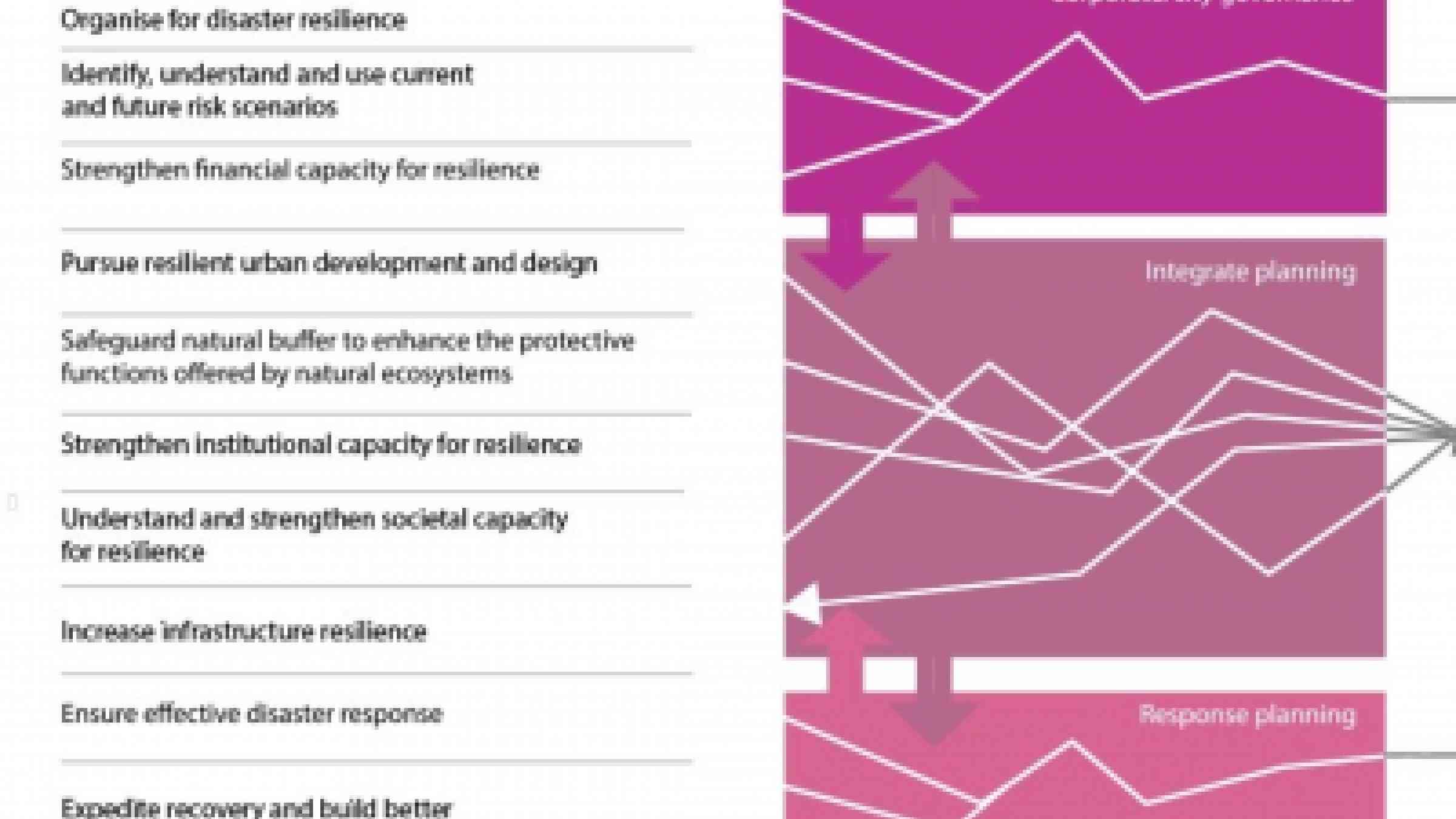 Ten essentials for making cities resilient