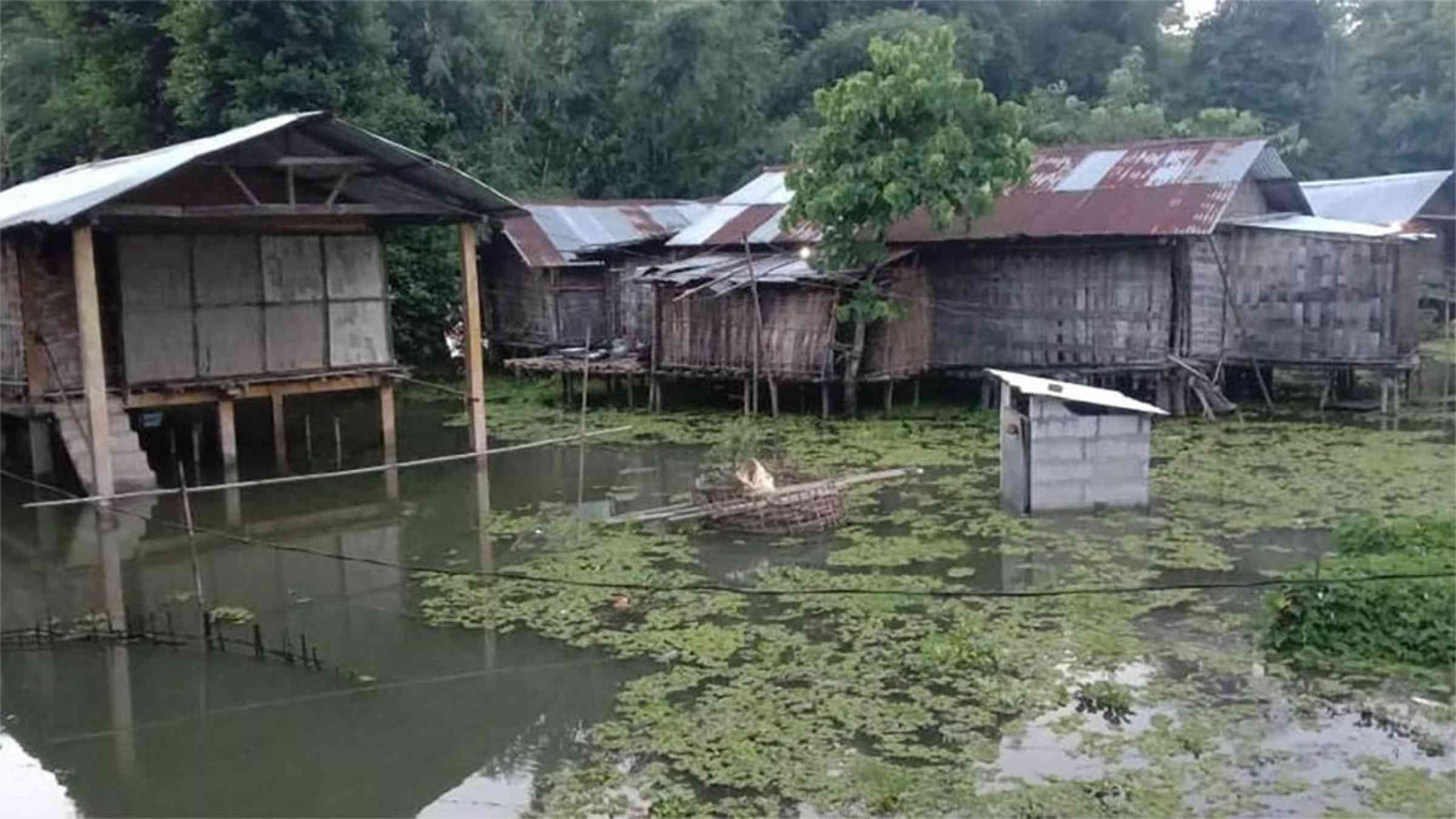 A typical Mising house, called Kare Okum (or chang ghar in Assamese), is an innovative way to keep floodwaters at bay as it is built on a raised platform supported by bamboo stilts. 