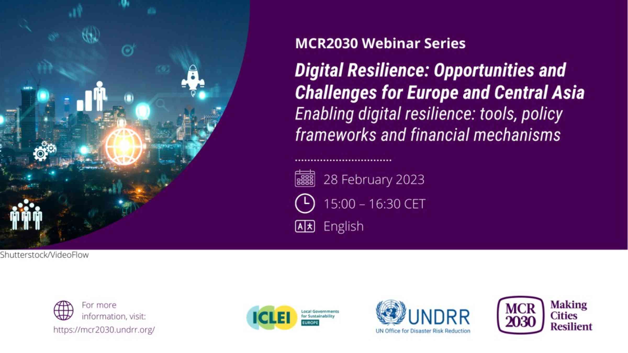 Enabling digital resilience: tools, policy frameworks and financial mechanisms
