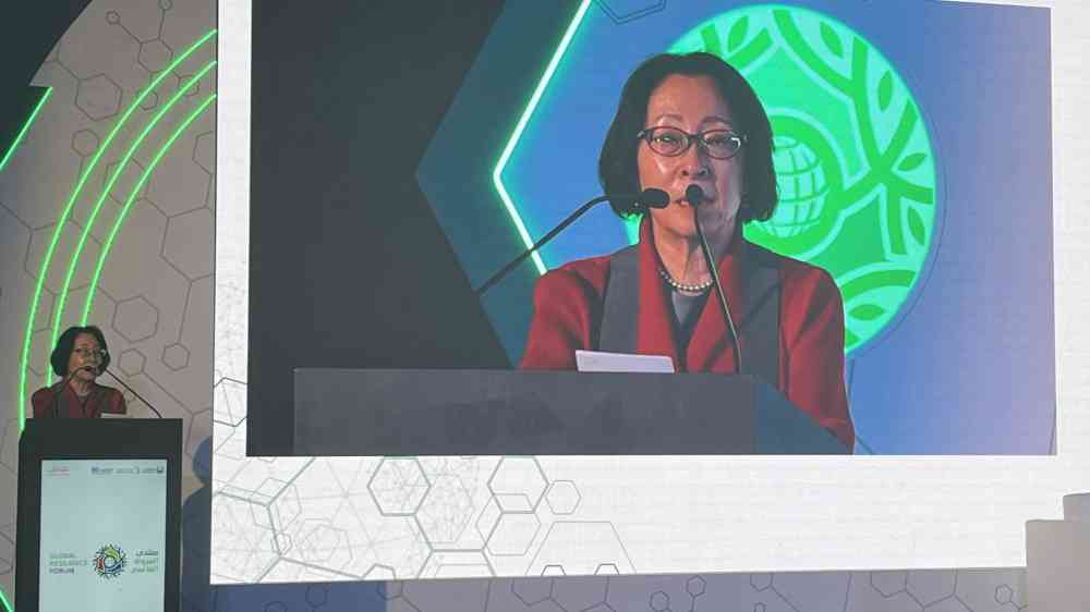 Head of UNDRR Ms Mami Mizutori