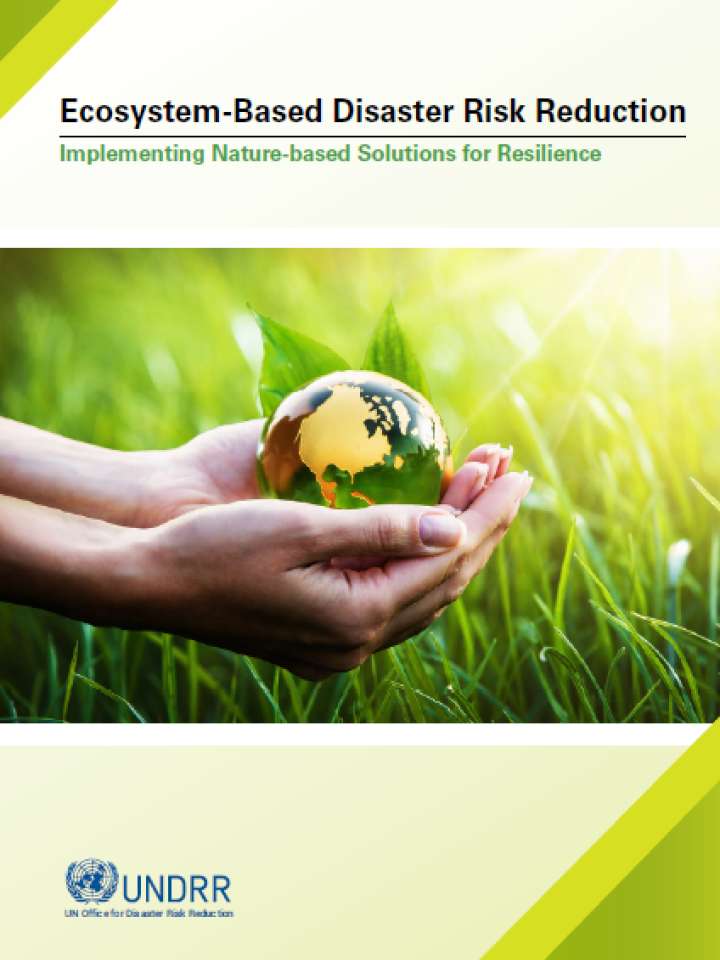 Eco-DRR report cover