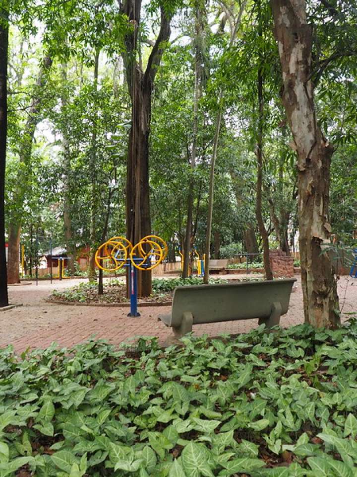 Park area in Campinas, Brazil