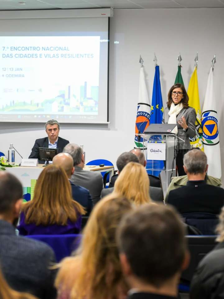 Patricia Gaspar presenting