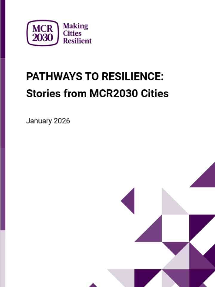 MCR2030 city insight report - pathway to resilience